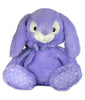 Dintanno Purple Teddie