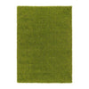 Bright Green Rug